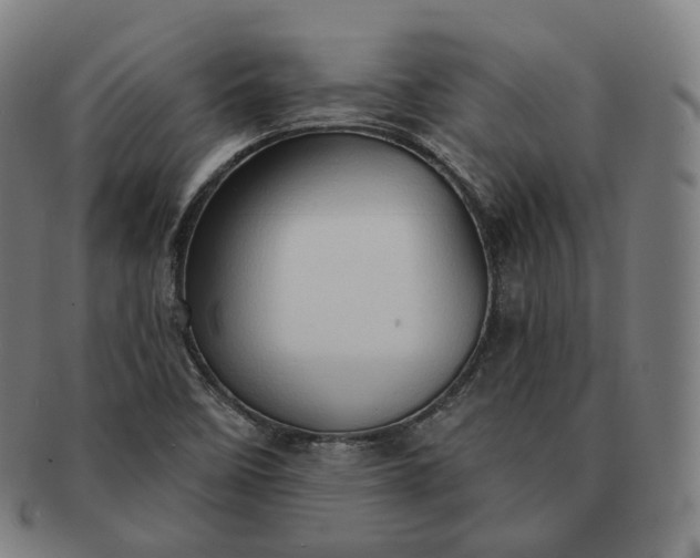 X0000091291458200708241018