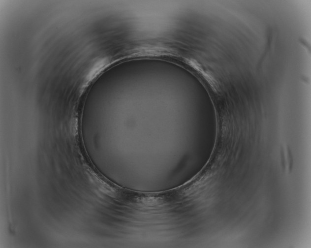 X0000091291459200708241018