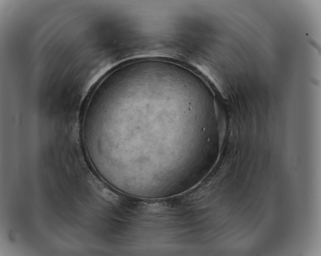 X0000091291460200708241018