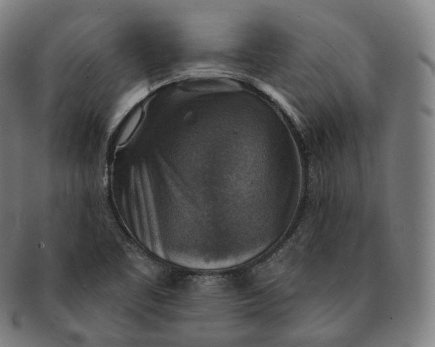 X0000091291461200708241018