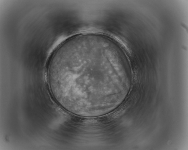 X0000091291462200708241018