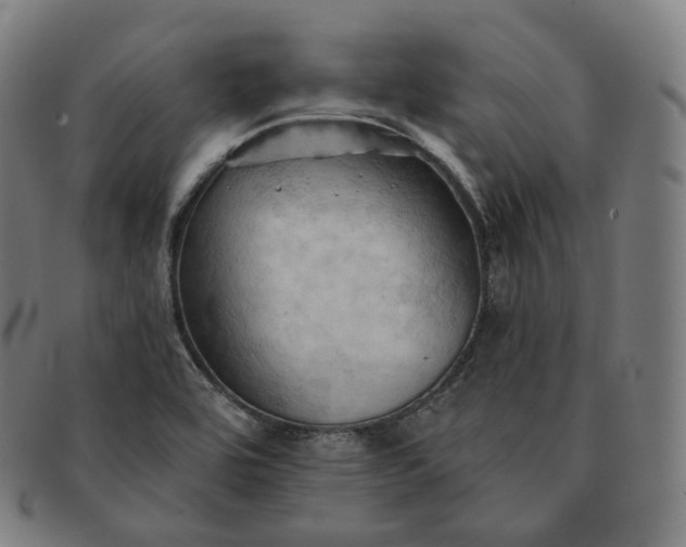 X0000091291464200708241018