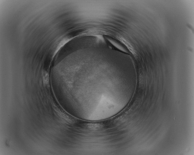 X0000091291465200708241018