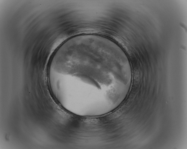 X0000091291466200708241018