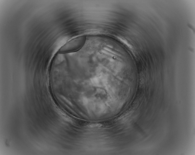 X0000091291467200708241018