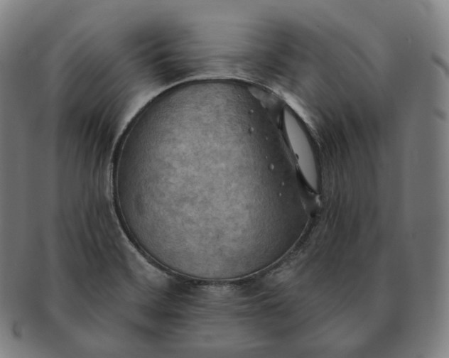 X0000091291468200708241018