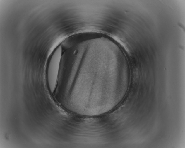 X0000091291469200708241018