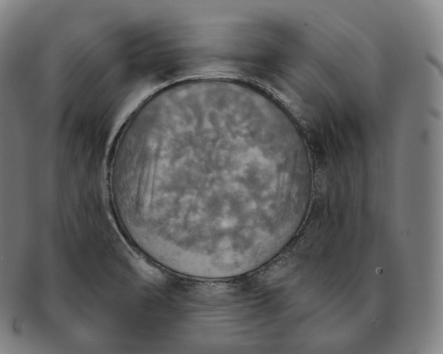 X0000091291470200708241018