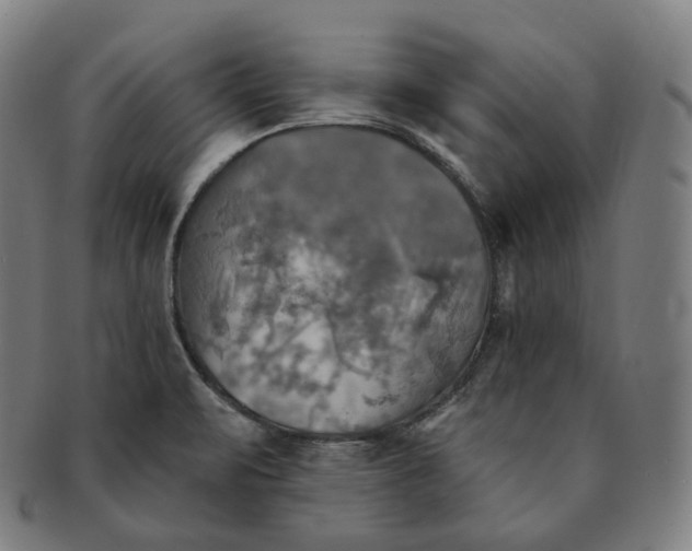 X0000091291471200708241018