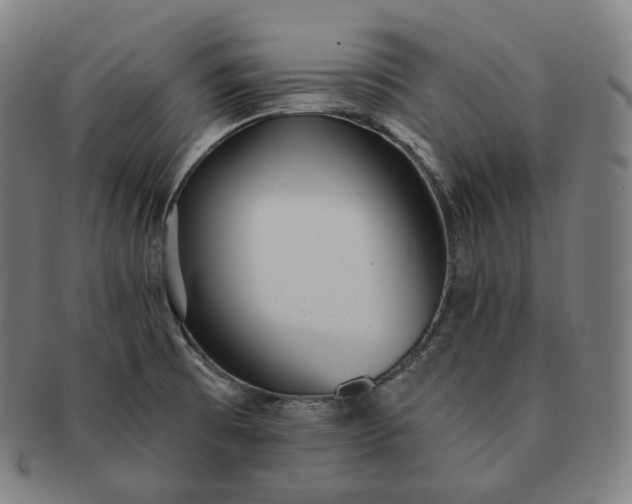 X0000091291473200708241018