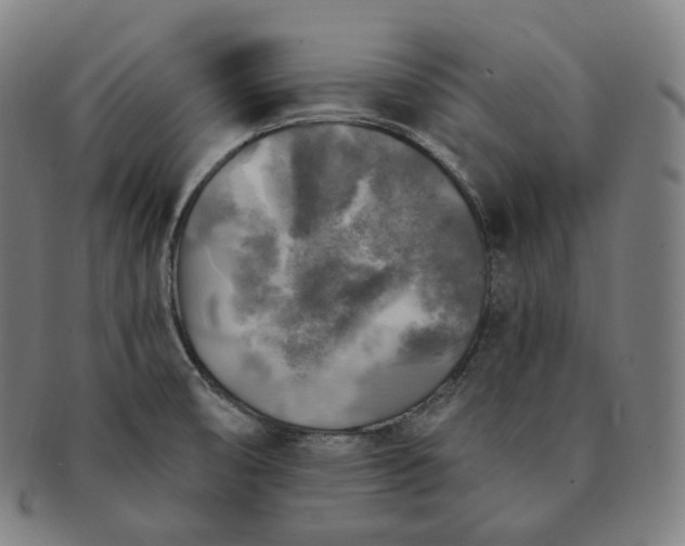 X0000091291474200708241018