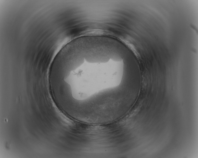 X0000091291475200708241018