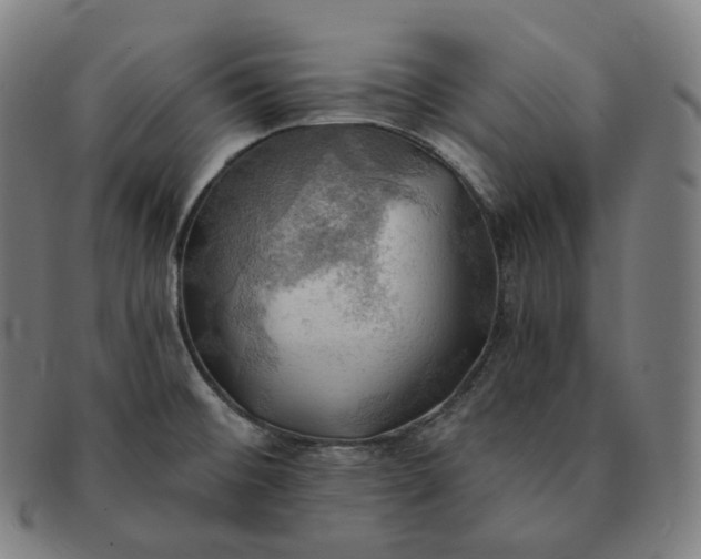 X0000091291476200708241018