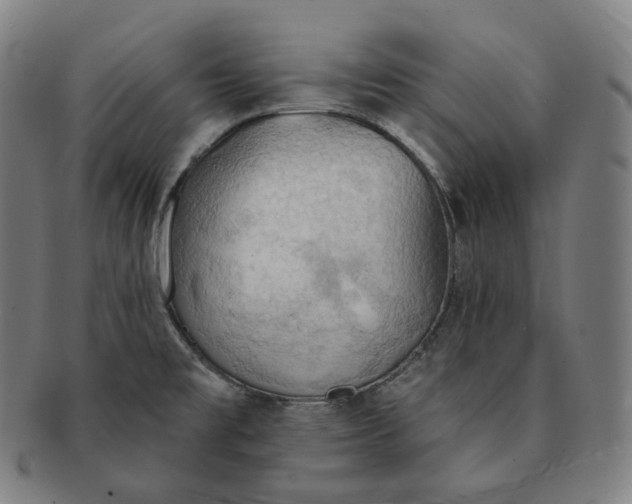 X0000091291477200708241018