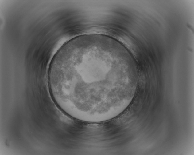 X0000091291478200708241018