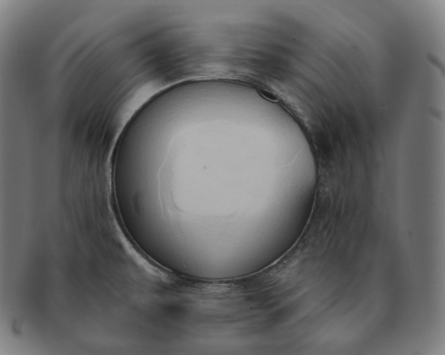 X0000091291479200708241018