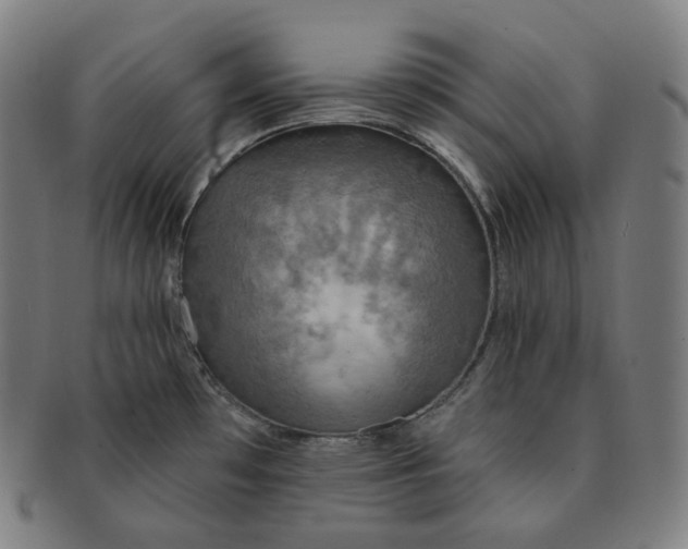 X0000091291481200708241018