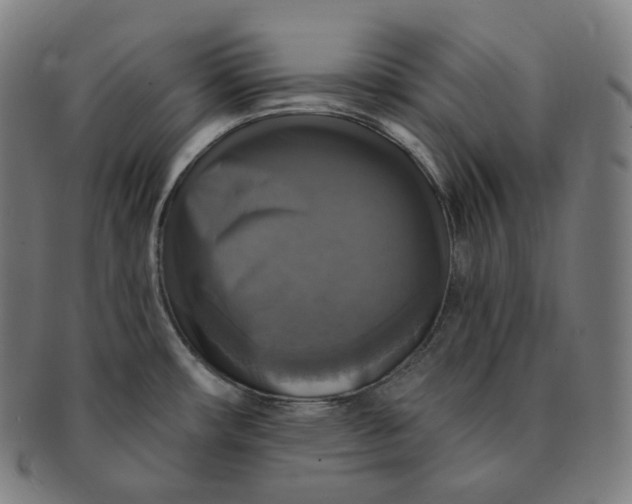 X0000091291482200708241018