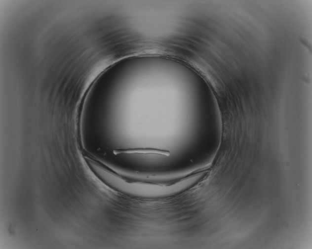 X0000091291483200708241018