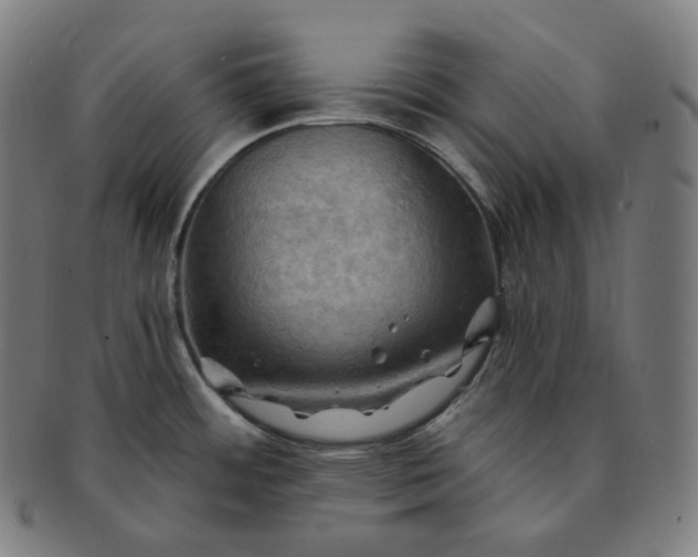 X0000091291484200708241018