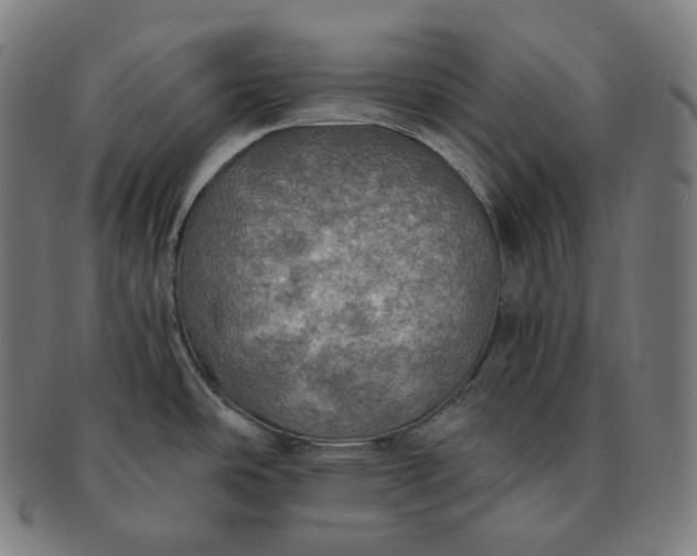 X0000091291486200708241018