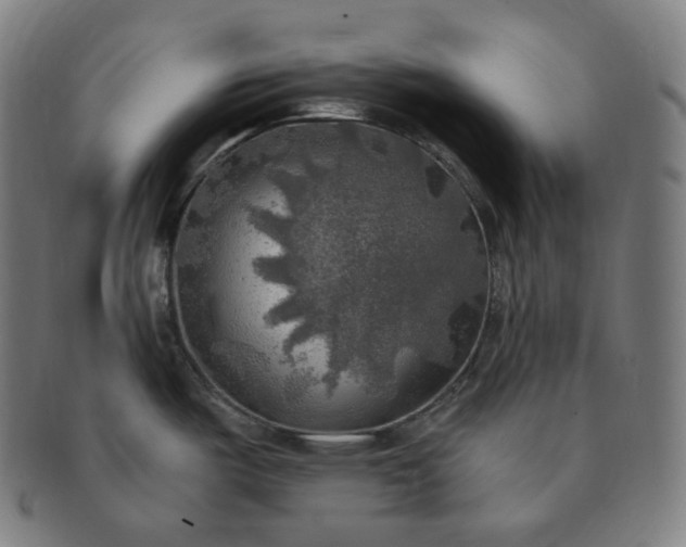 X0000091291487200708241018