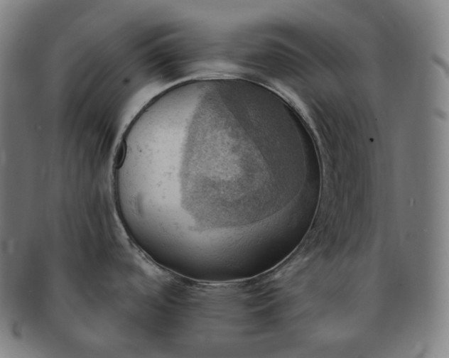 X0000091291488200708241018