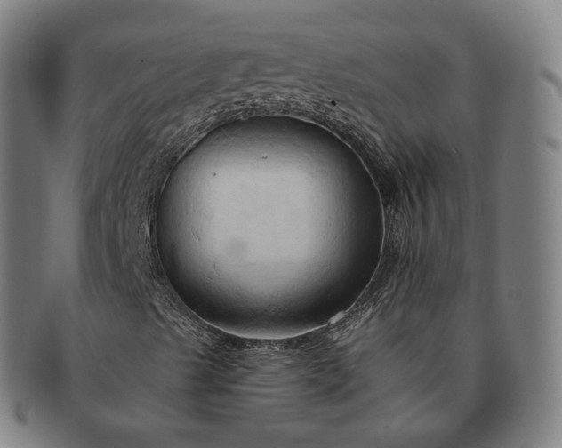 X0000091291489200708241017