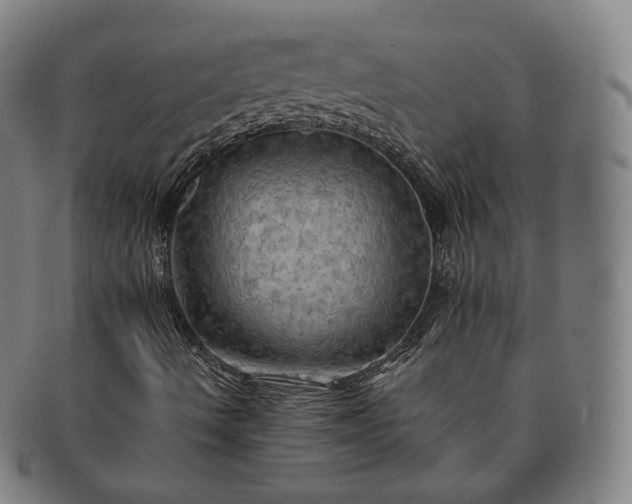 X0000091291490200708241017