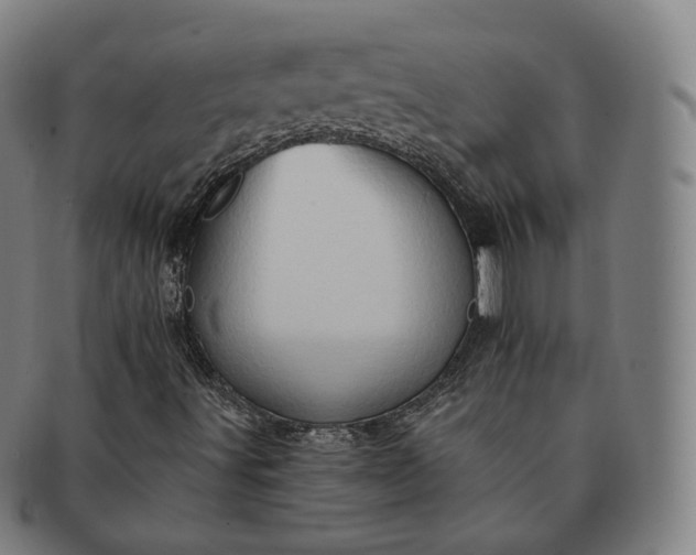 X0000091291491200708241017