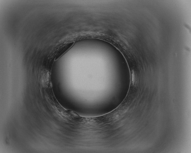 X0000091291492200708241017