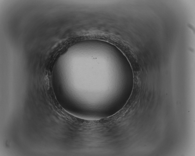 X0000091291493200708241017