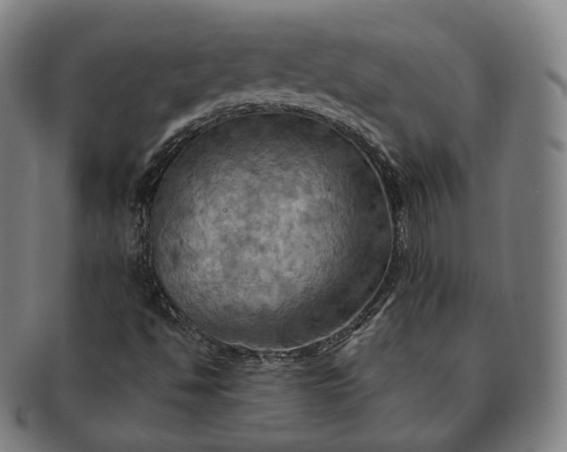 X0000091291494200708241017