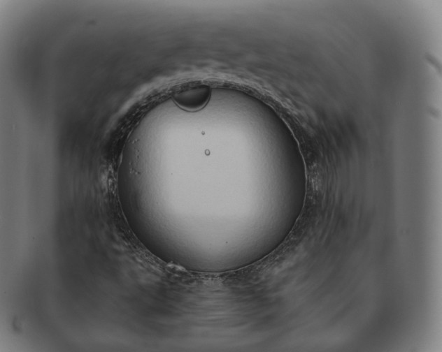 X0000091291495200708241017