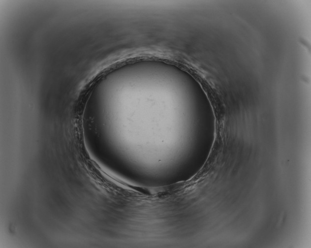 X0000091291496200708241017