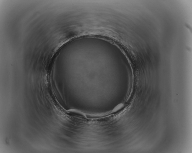 X0000091291497200708241017