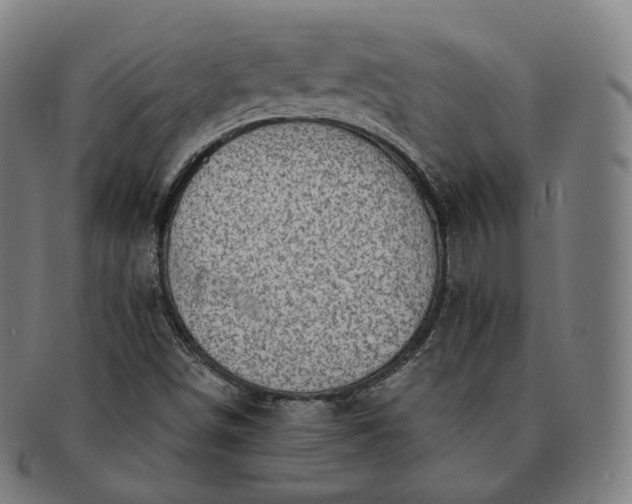 X0000091291498200708241017