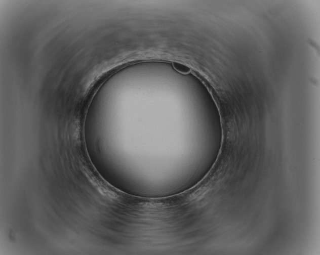 X0000091291499200708241017