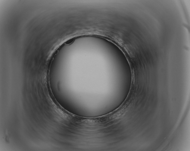 X0000091291500200708241017