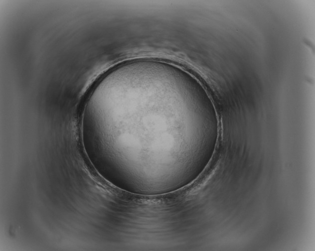 X0000091291501200708241017