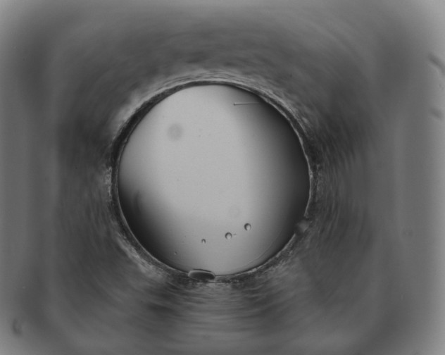 X0000091291503200708241017