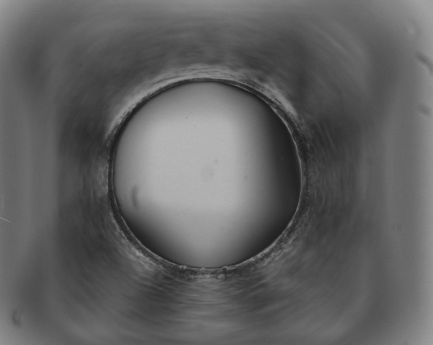 X0000091291504200708241017