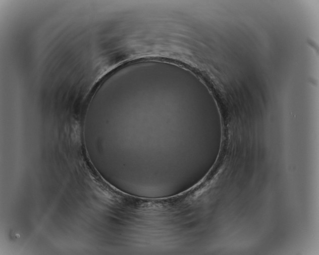 X0000091291505200708241017