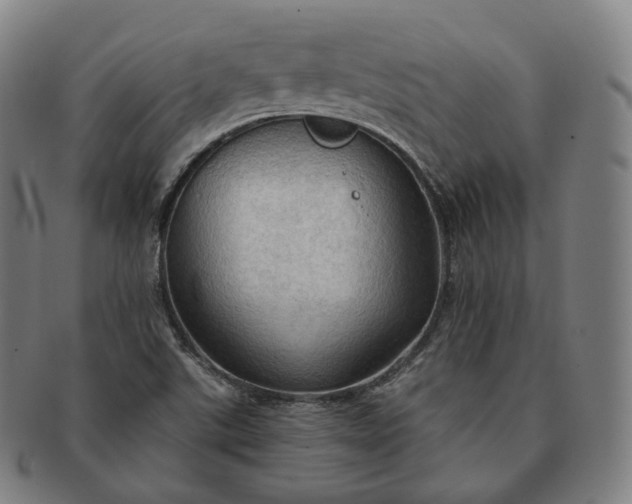 X0000091291507200708241017