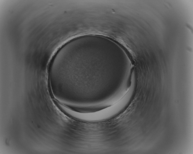 X0000091291508200708241017