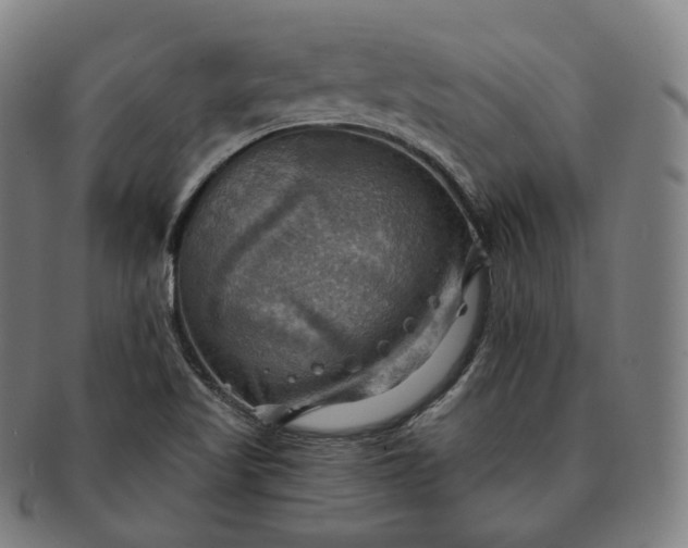 X0000091291509200708241017