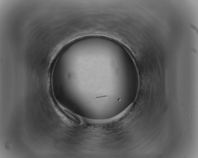 X0000091291511200708241017