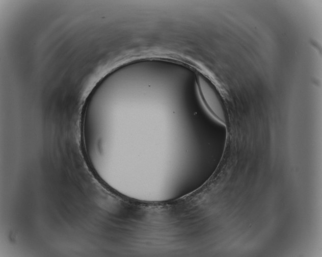 X0000091291512200708241017