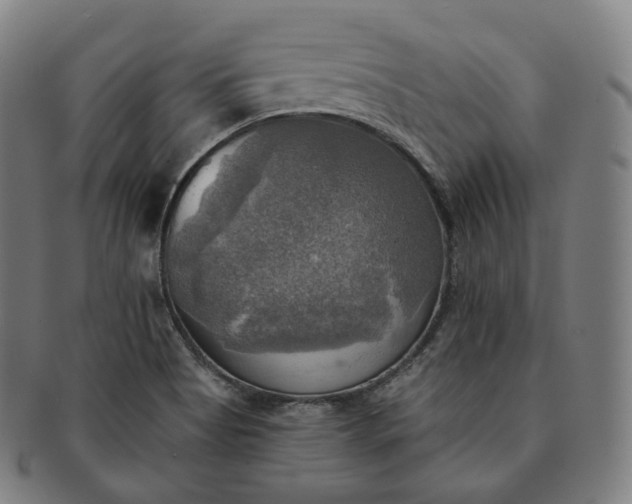 X0000091291513200708241017