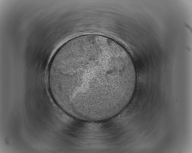 X0000091291514200708241017